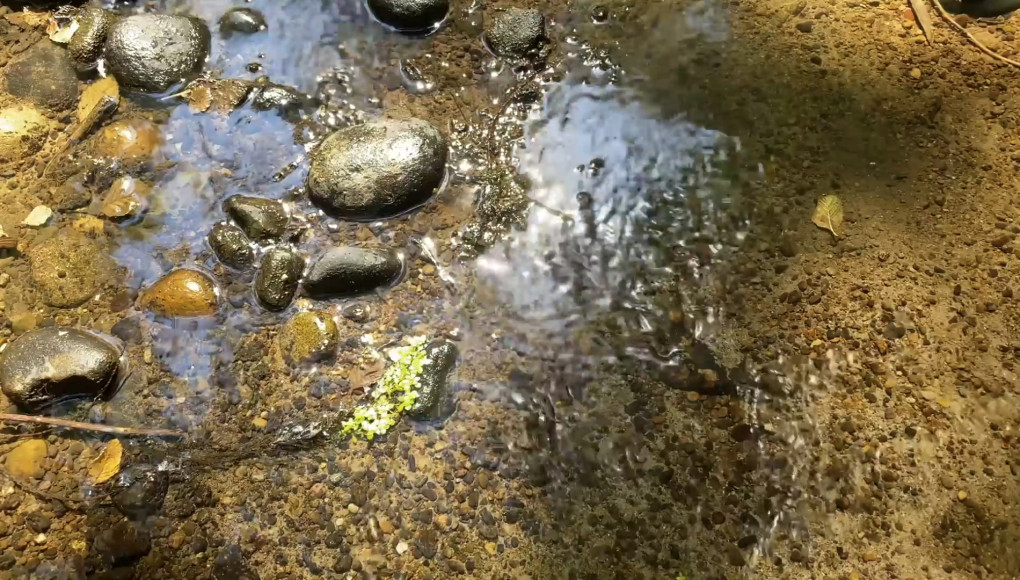 Sensory Meditation for Sleep