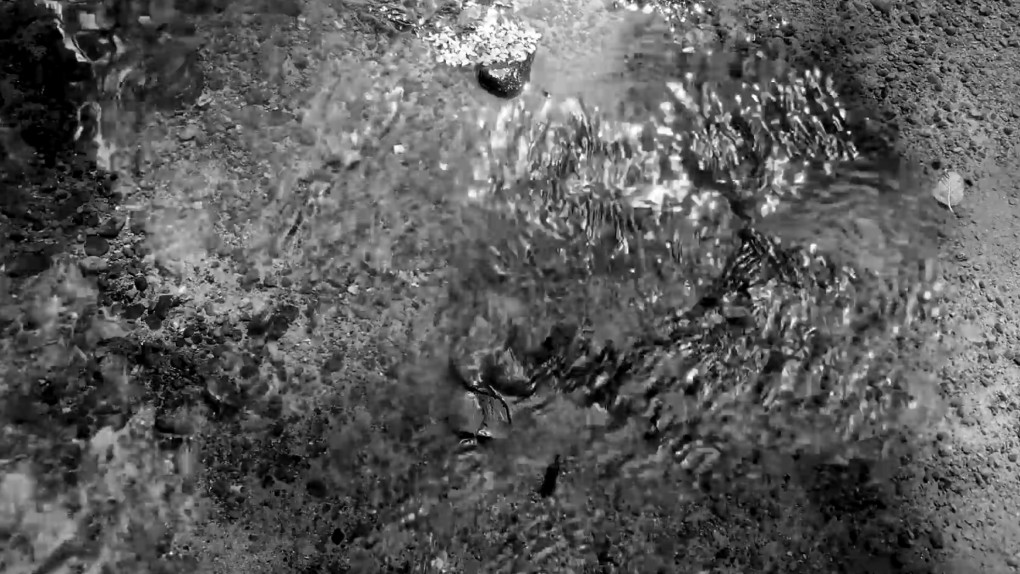 Fitness Affirmations