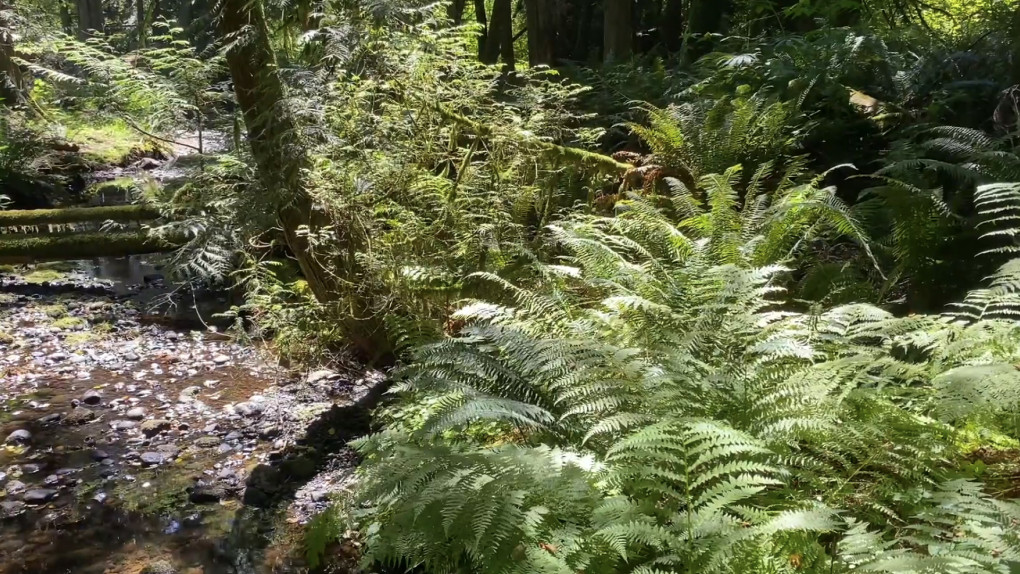 Food/Eating Affirmations