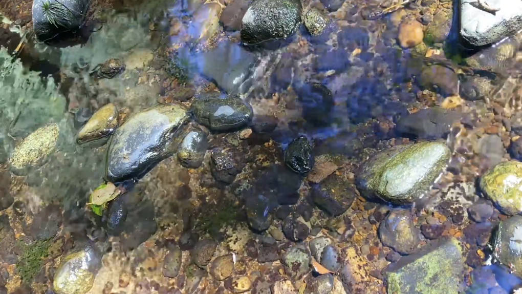 Body Image Affirmations