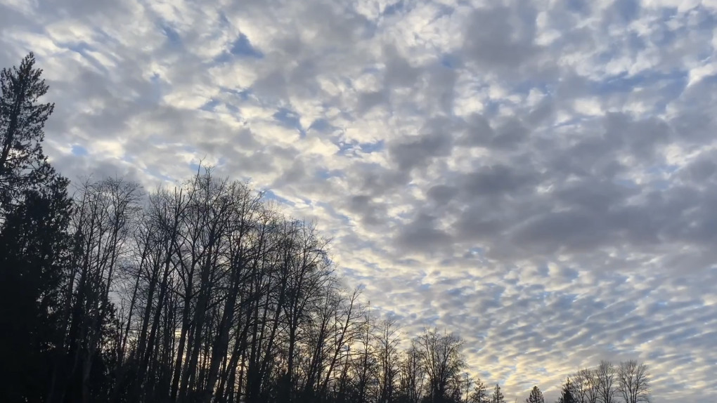 Wellbeing Affirmations