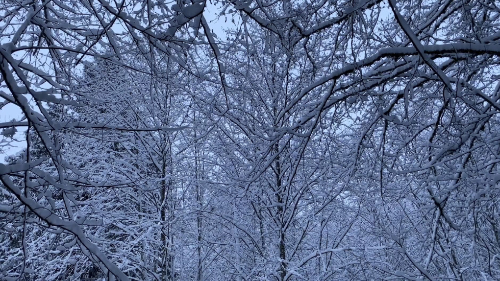 Endurance Meditation