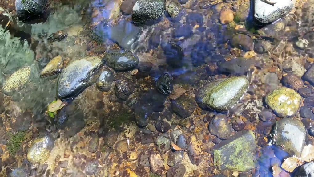 Guided Practice for Setting Exercise Intentions