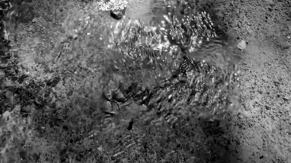 Guided Practice for Mental Rest