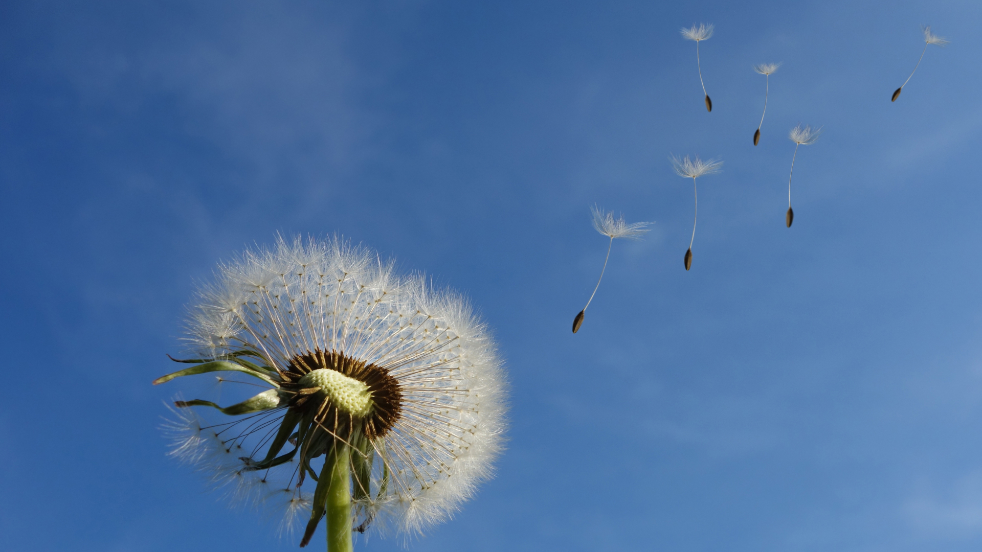 Control Your Breath With Pursed Lip Breathing Guided Breathing