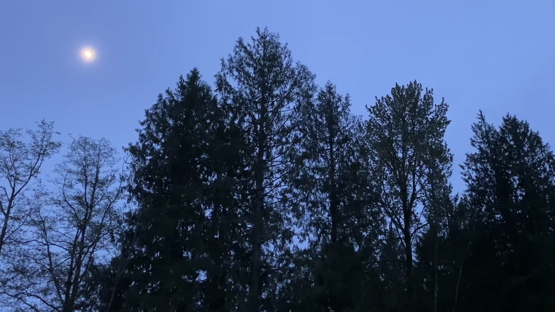 Deep Breathing Technique For Stress Reduction Calm Your Nervous System